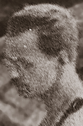 Демидов Николай Васильевич