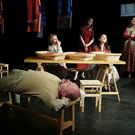 Пролётный гусь