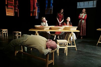 Пролётный гусь