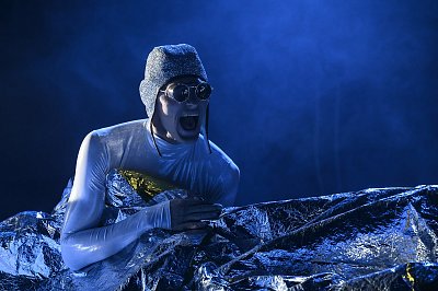 Полярная болезнь